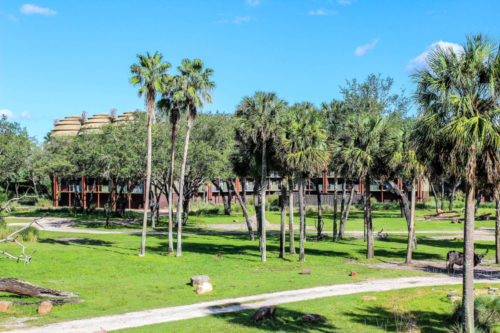 Disney DVC Animal Kingdom Villas View of Savanna