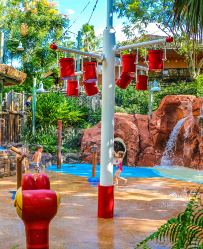 Disney DVC Animal Kingdom Villas Splash Park Buckets