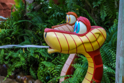 Disney DVC Animal Kingdom Villas Splash Park Dragon