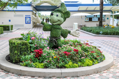 Disney DVC Bay Lake Tower Mickey Mouse garden topiary