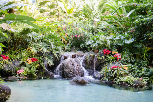 Disney DVC Polynesian tropical outdoor waterfall